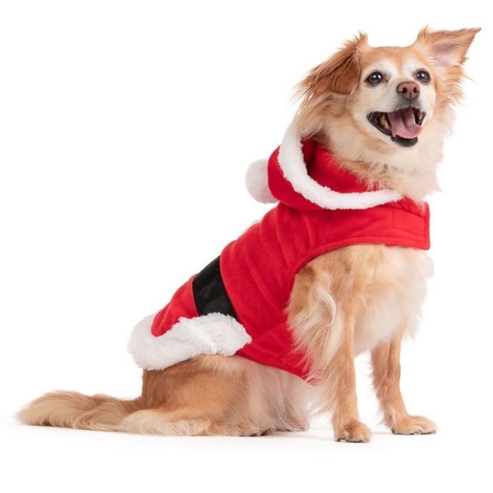 NWOT Friends Forever Dog Santa Claus Costume size XL - Picture 2 of 8